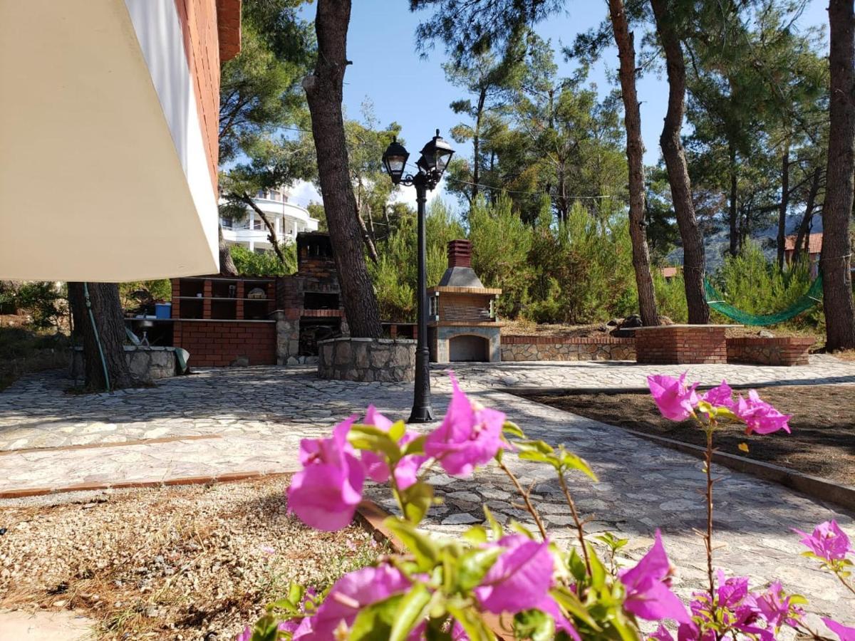 Hotel Brifs Shëngjin Dış mekan fotoğraf
