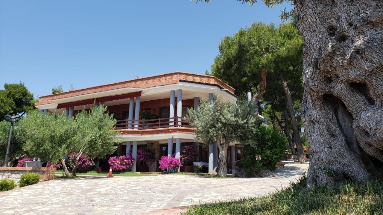 Hotel Brifs Shëngjin Dış mekan fotoğraf