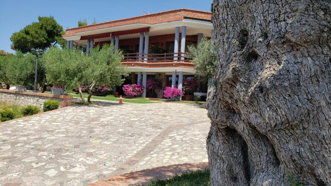 Hotel Brifs Shëngjin Dış mekan fotoğraf