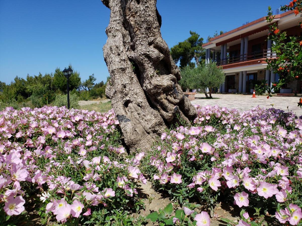 Hotel Brifs Shëngjin Dış mekan fotoğraf