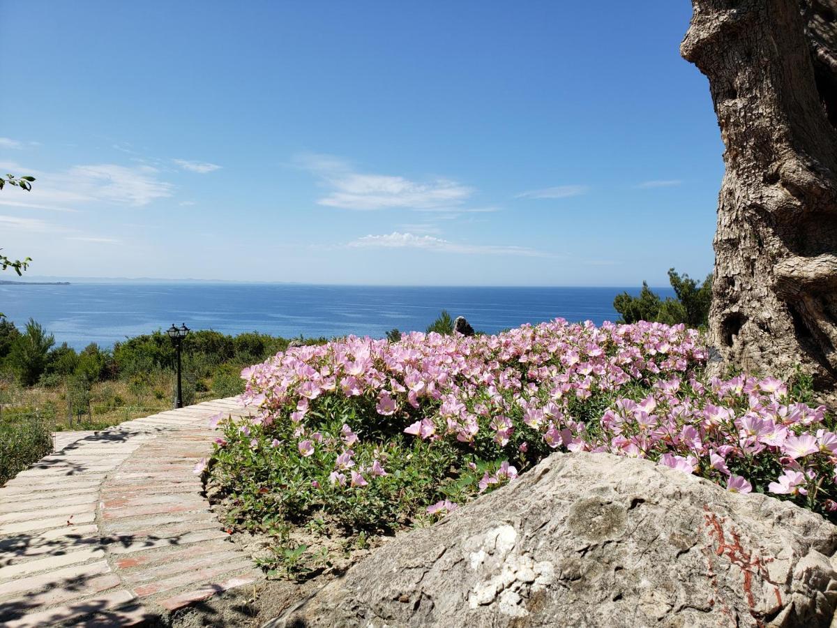 Hotel Brifs Shëngjin Dış mekan fotoğraf